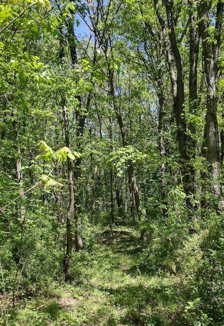 Ganges Twp, MI 49408,0 64th Street