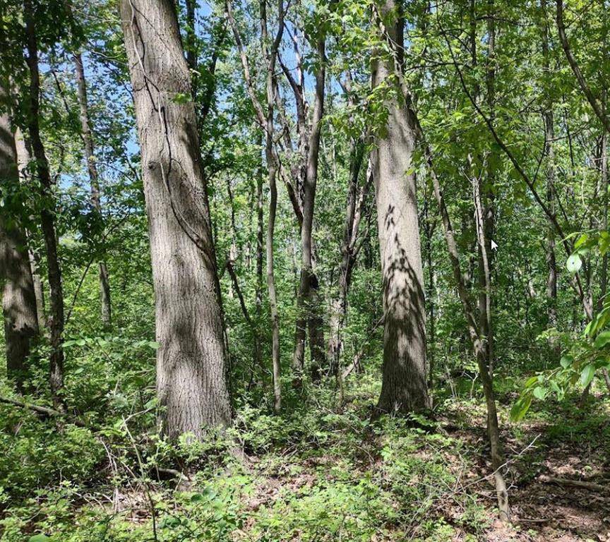 Ganges Twp, MI 49408,0 64th Street