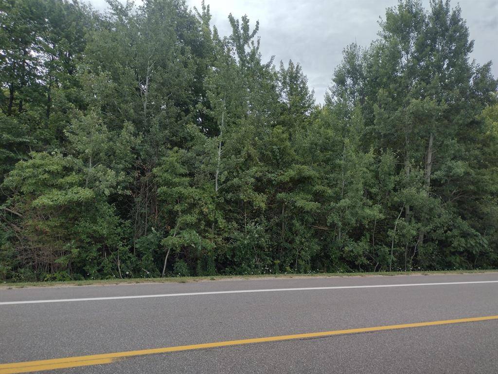 Ganges Twp, MI 49408,0000 Blue Star Highway