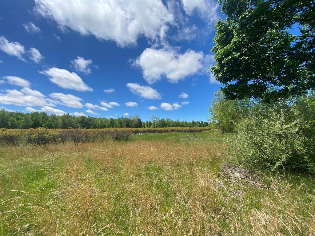 Casco Twp, MI 49056,62nd Street