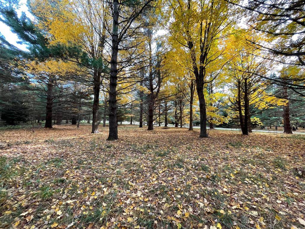 Ganges Twp, MI 49090,V/L Creekwood 5
