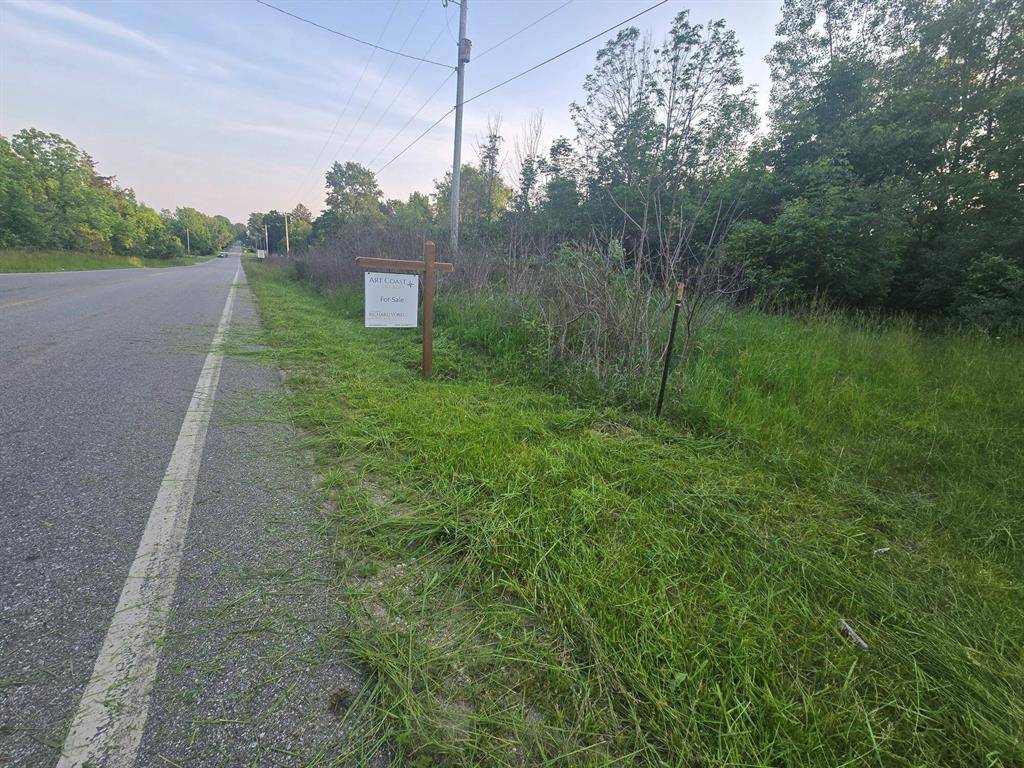 Manlius Twp, MI 49408,VL 56th Street B