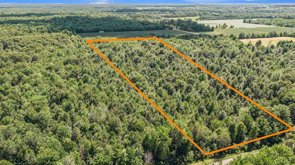 Clyde Twp, MI 49450,5918 113th Avenue Parcel E