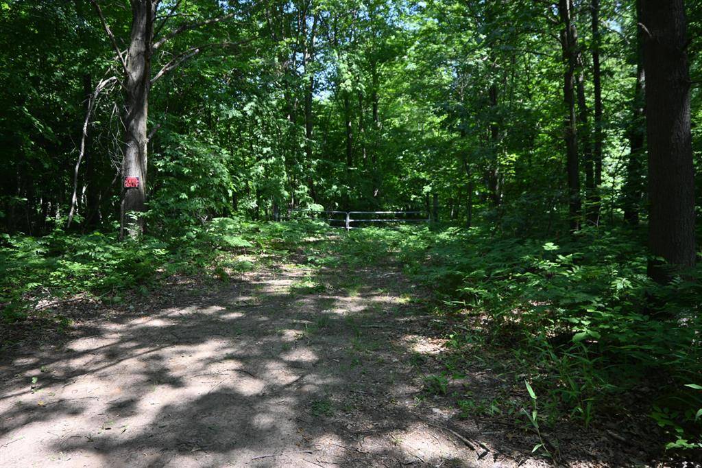 Sullivan Twp, MI 49415,V/L Jensen Road
