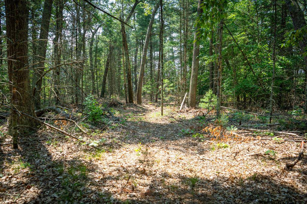 Holton Twp, MI 49425,V/L Round Lake Drive