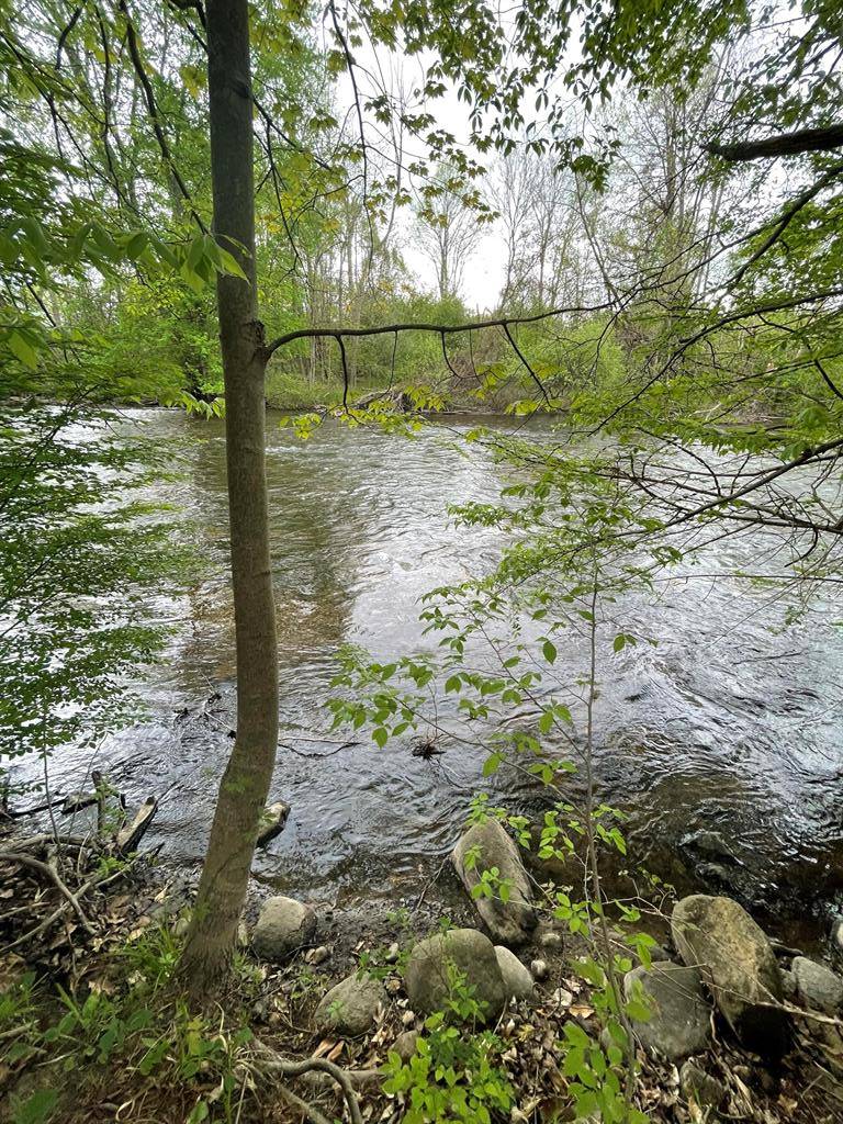 Hesperia Vlg, MI 49421,S Branch Lane 5