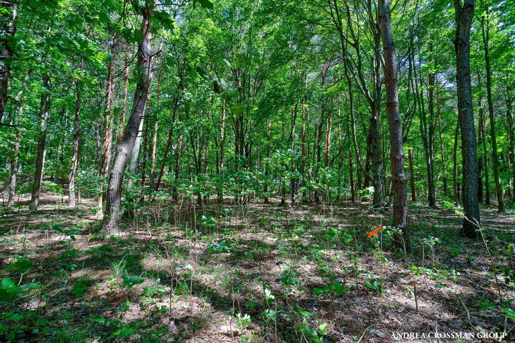 Ganges Twp, MI 49408,0 Stonebridge Trail 2