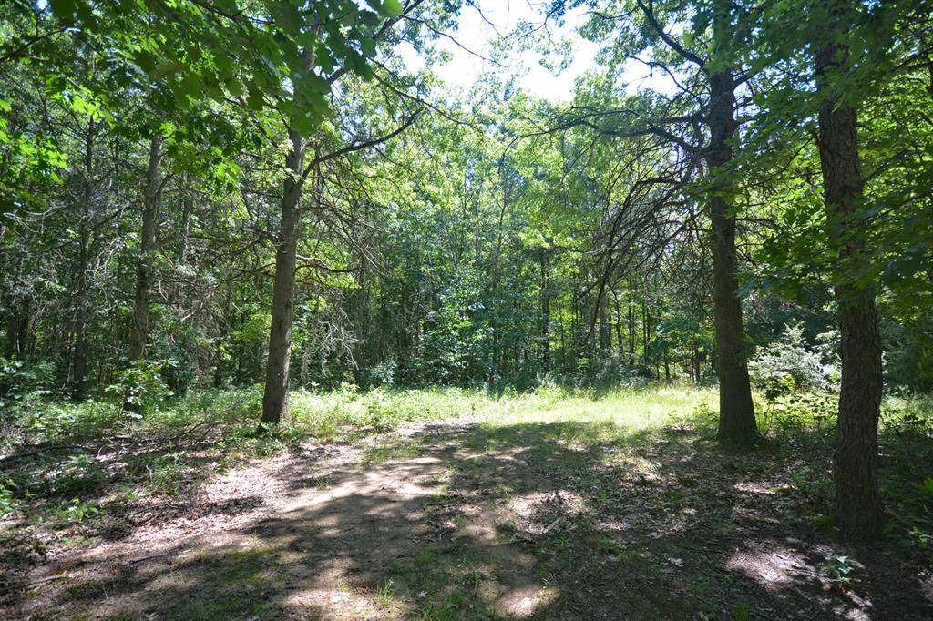 Columbia Twp, MI 49056,52251 17th Avenue