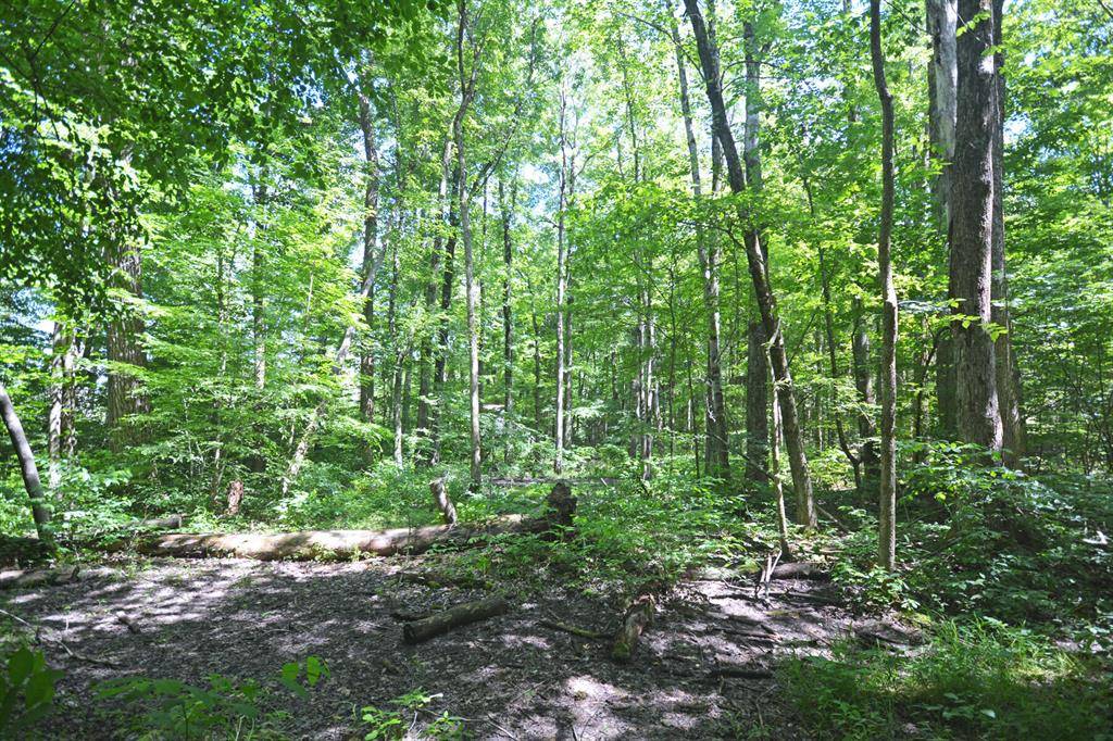 Columbia Twp, MI 49056,52251 17th Avenue