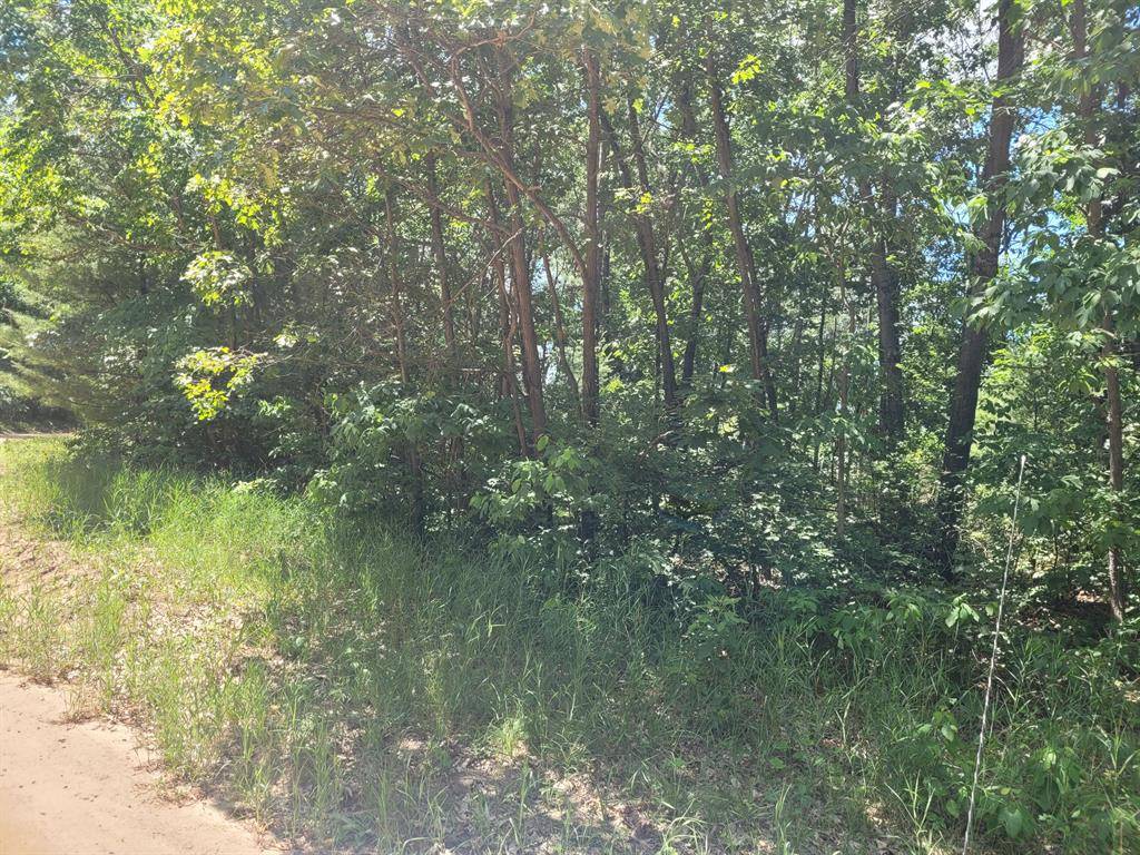 Valley Twp, MI 49408,VL Round Lake Drive