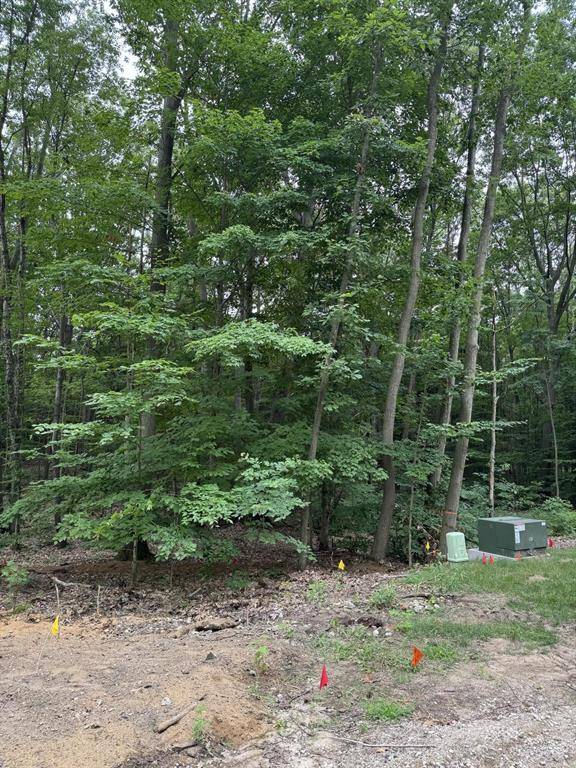 South Haven Twp, MI 49090,76757 Wood Crest Court
