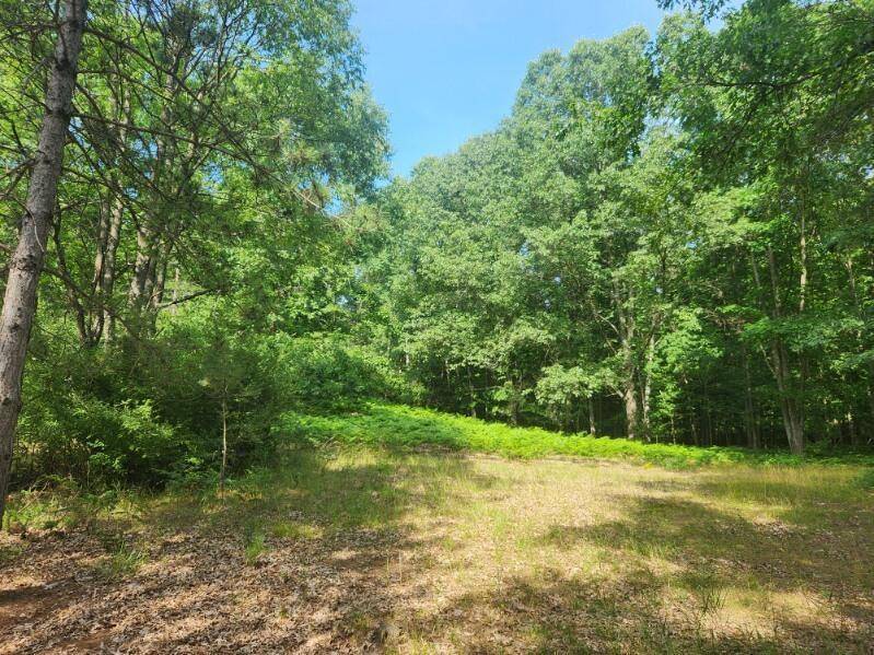 Logan Twp, MI 49402,7373 S Riverbend Road Lot# 53