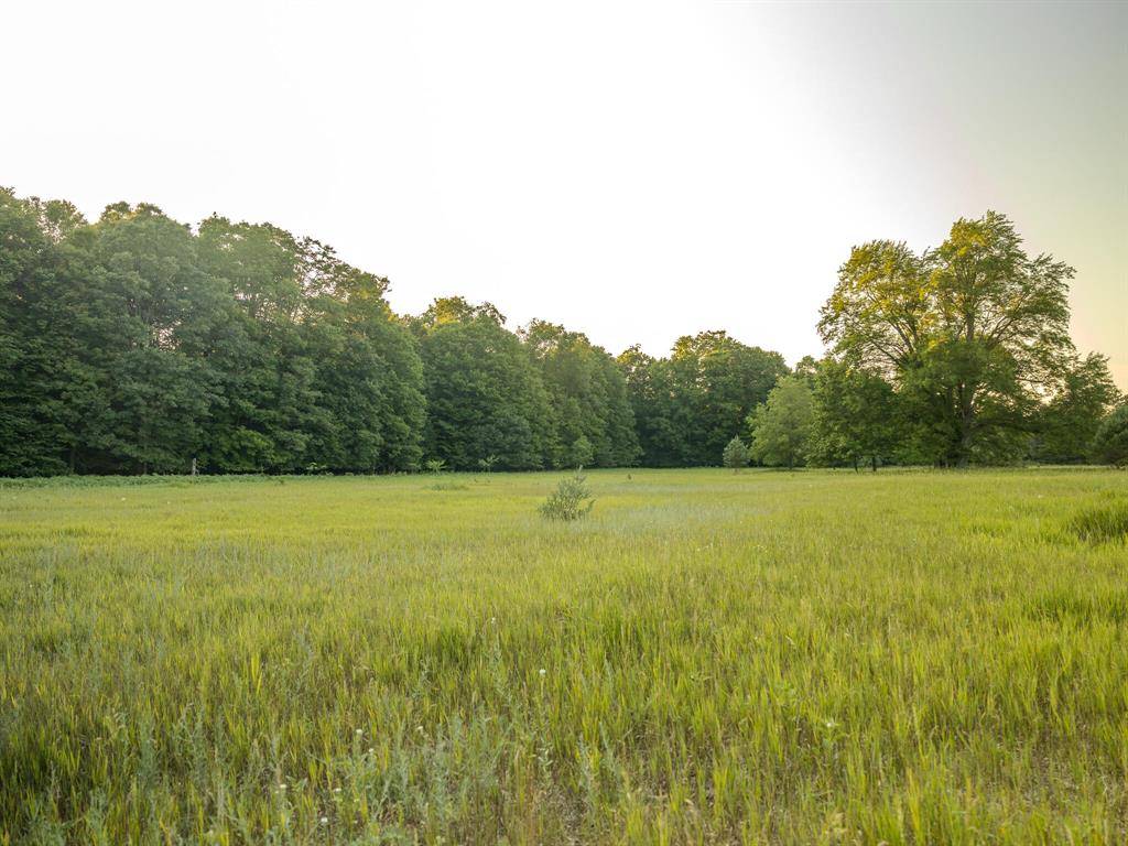 Otto Twp, MI 49452,Parcel 3 E Arthur Road