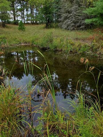 Green Twp, MI 49639,4.92 acres River Ranch Road