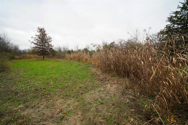 Decatur Twp, MI 49065,31.9 A County Road 665