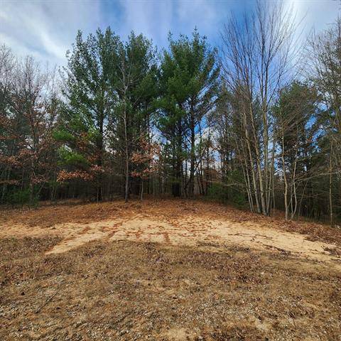 Pentwater Twp, MI 49449,Lot #3 Wayne Rd