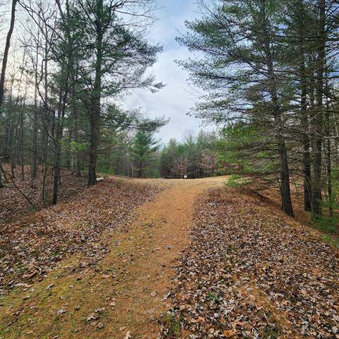 Pentwater Twp, MI 49449,Lot #8 Wayne Rd