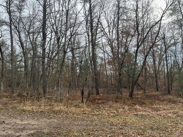 Pleasant Plains Twp, MI 49304,Parcel B Kidd Boulevard