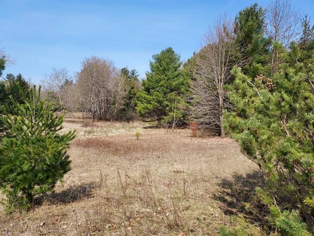 Osceola Twp, MI 49631,LOT 2 N RIDGE Road