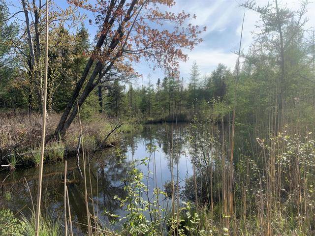 Au Sable Twp, MI 48750,W AuSable Point Road Modifier: VL