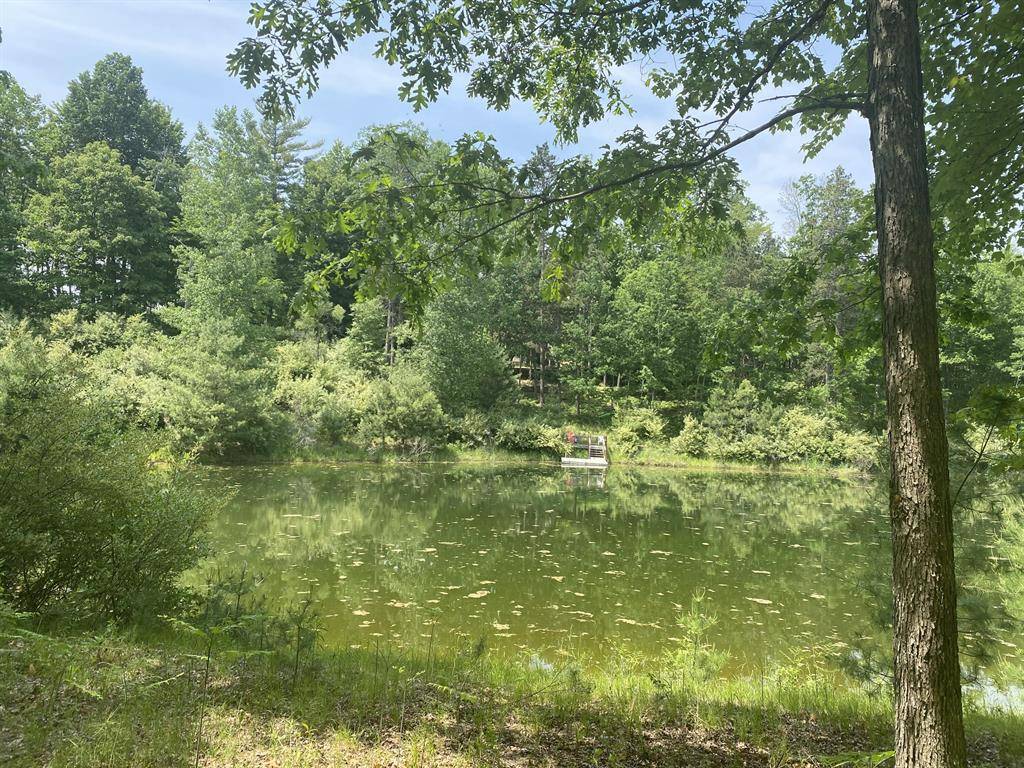 Austin Twp, MI 49346,12004 Buchanan Road 42-43