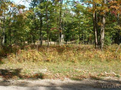 Austin Twp, MI 49346,12004 Buchanan Road 42-43