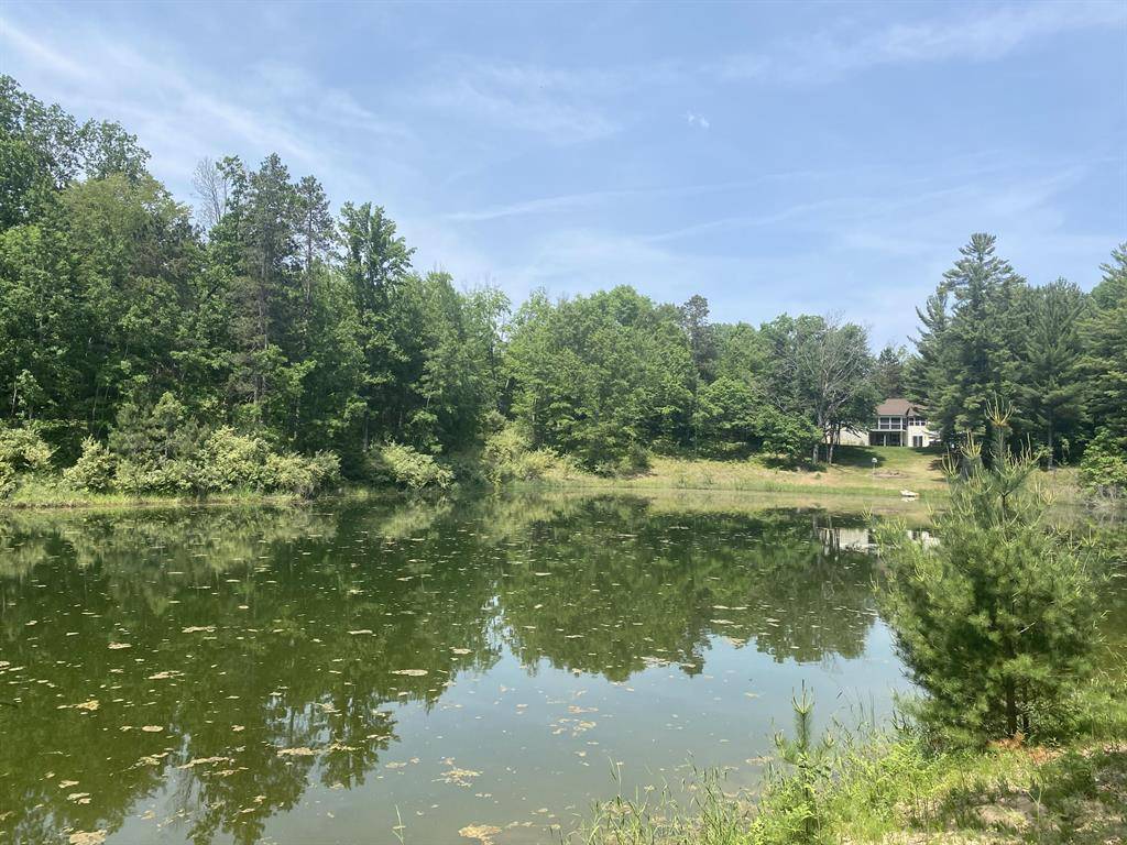 Austin Twp, MI 49346,12004 Buchanan Road 42-43