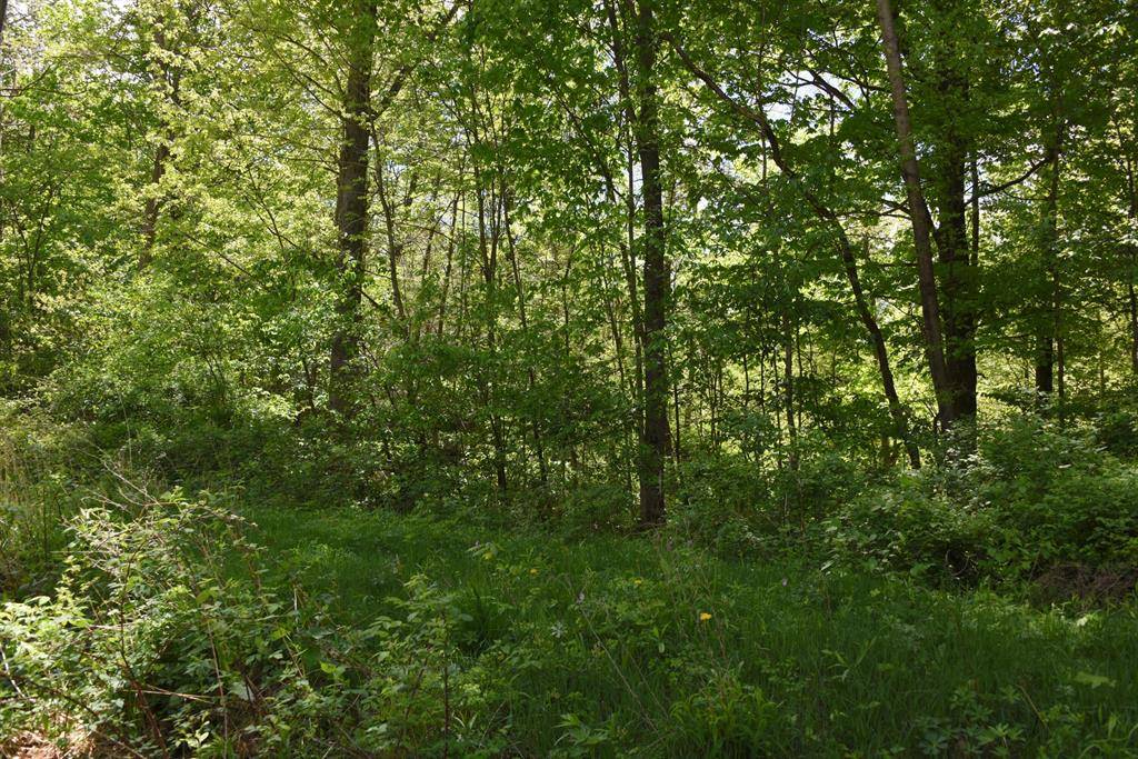 Brooks Twp, MI 49337,0 E 56th