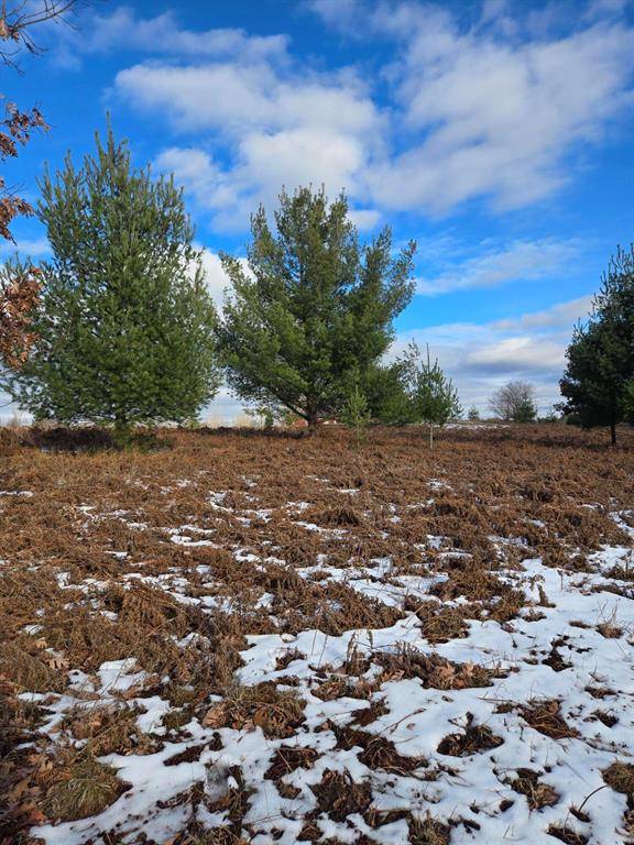 Evart Twp, MI 49631,Lot 895 Lake Miramichi Drive