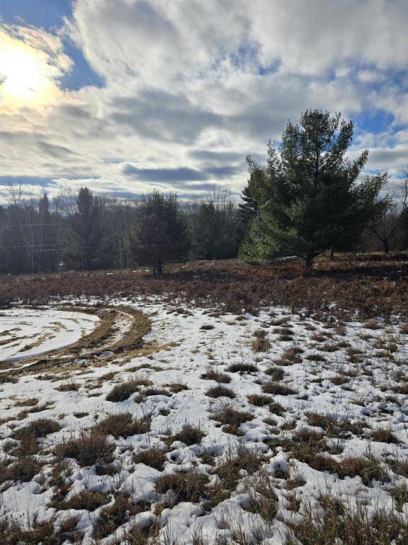 Evart Twp, MI 49631,Lot 895 Lake Miramichi Drive