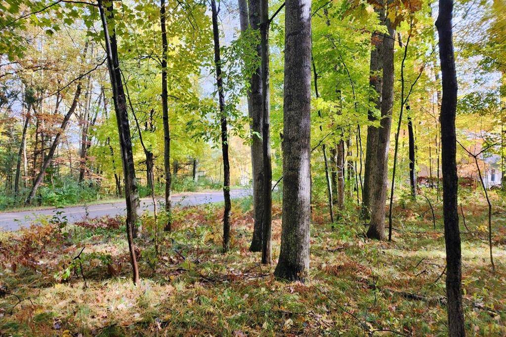 Morton Twp, MI 49346,11875 Timberlane Drive 119