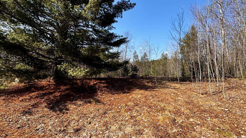 Cherry Grove Twp, MI 49601,Lot 30 White Pine Drive