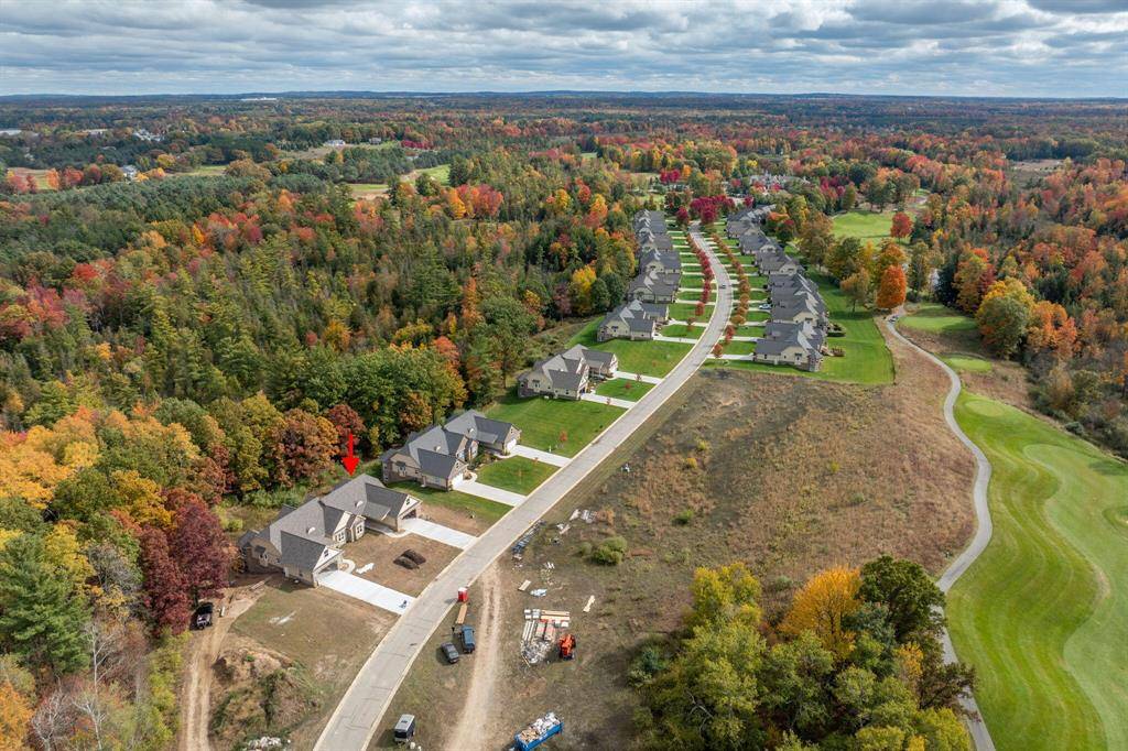 Austin Twp, MI 49346,12258 Tullymore Drive Drive