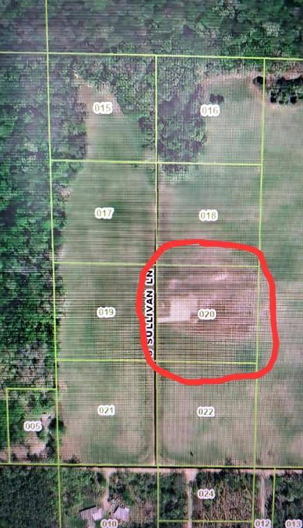 Croton Twp, MI 49337,Lot 20 S Sullivan Lane