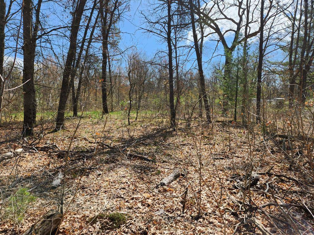 Webber Twp, MI 49304,TBD S Princeton Way Avenue