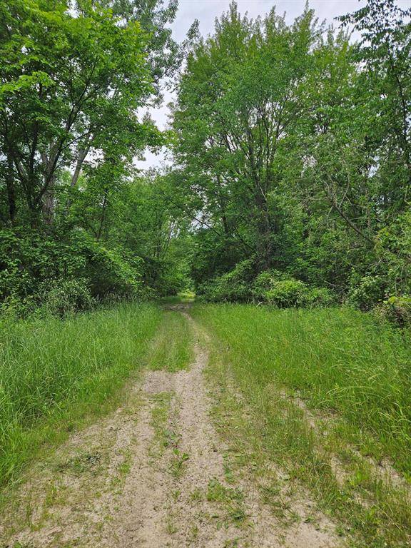 Evart Twp, MI 49631,00 Cayuga Trail