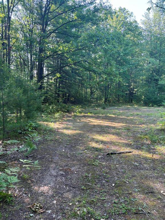 Pinora Twp, MI 49677,10483 E Lucas Trail