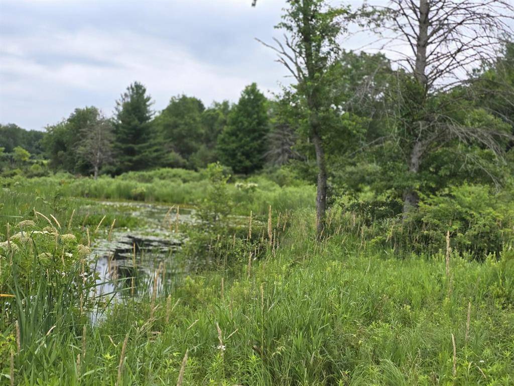 Chippewa Twp, MI 49305,00-2 LAKE Road