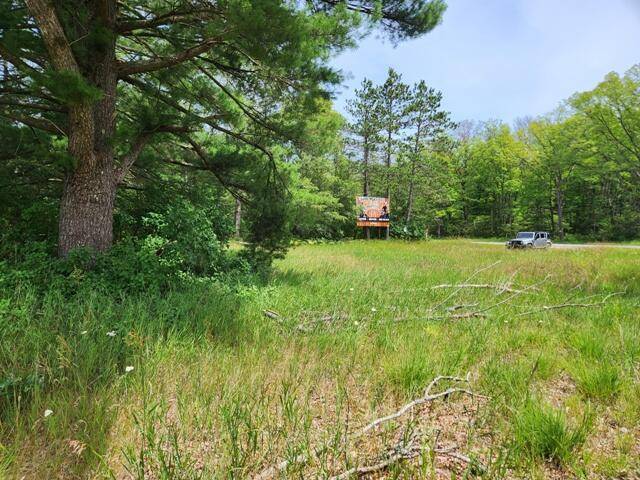 Lilley Twp, MI 49309,12245 N Woodbridge (M-37)