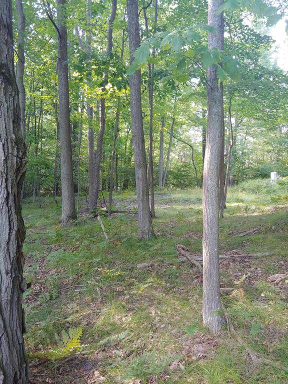 Lincoln Twp, MI 48622,1631 Laurel Lane
