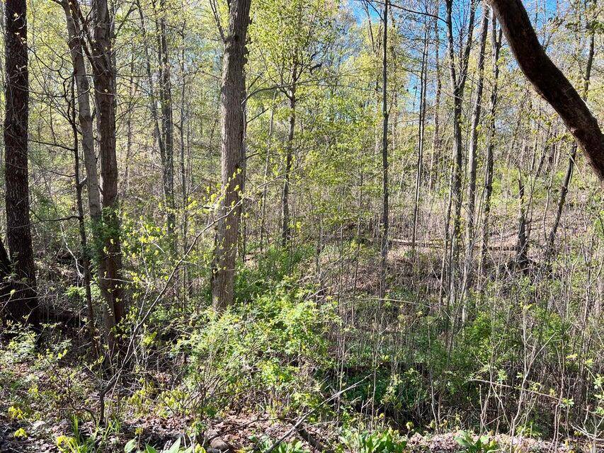 Oronoko Twp, MI 49103,8249 Parcel C M-139