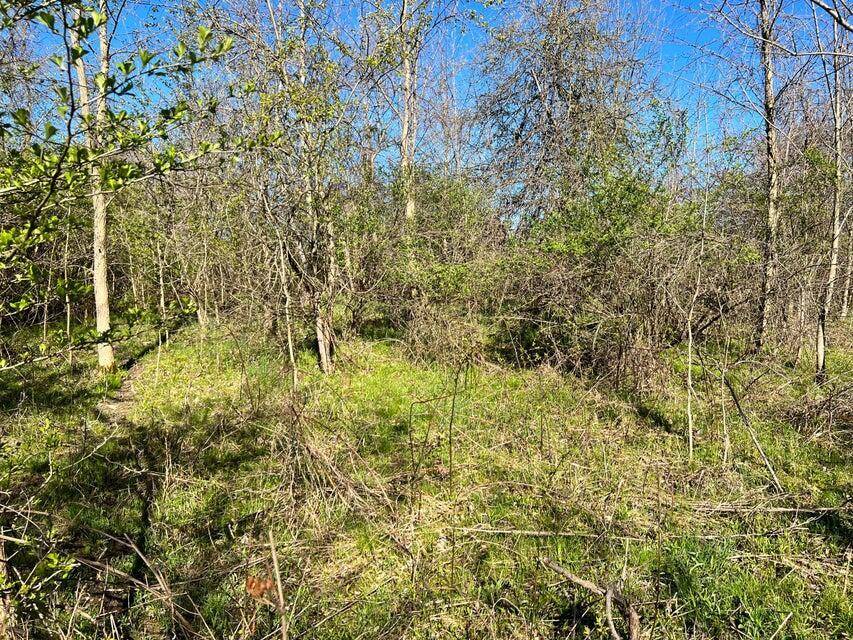 Oronoko Twp, MI 49103,8249 Parcel B M-139