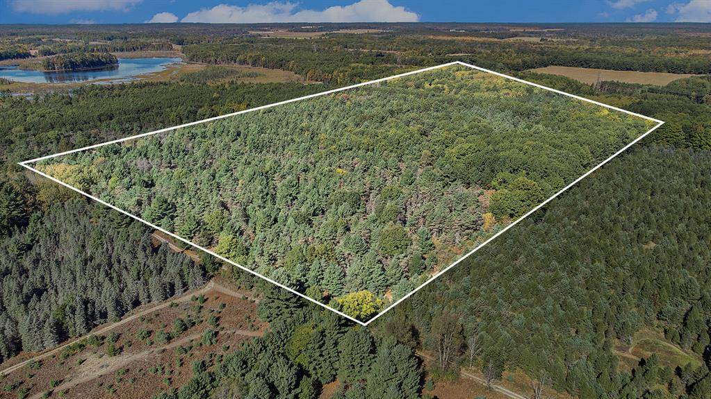 Beaver Twp, MI 49309,0 E Grant