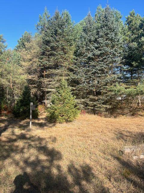 Colfax Twp, MI 49307,VL C McKinley Road