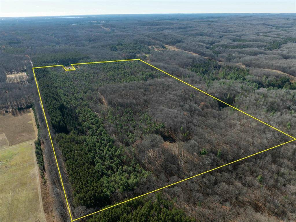 Cedar Creek Twp, MI 49663,76 E 22 Road