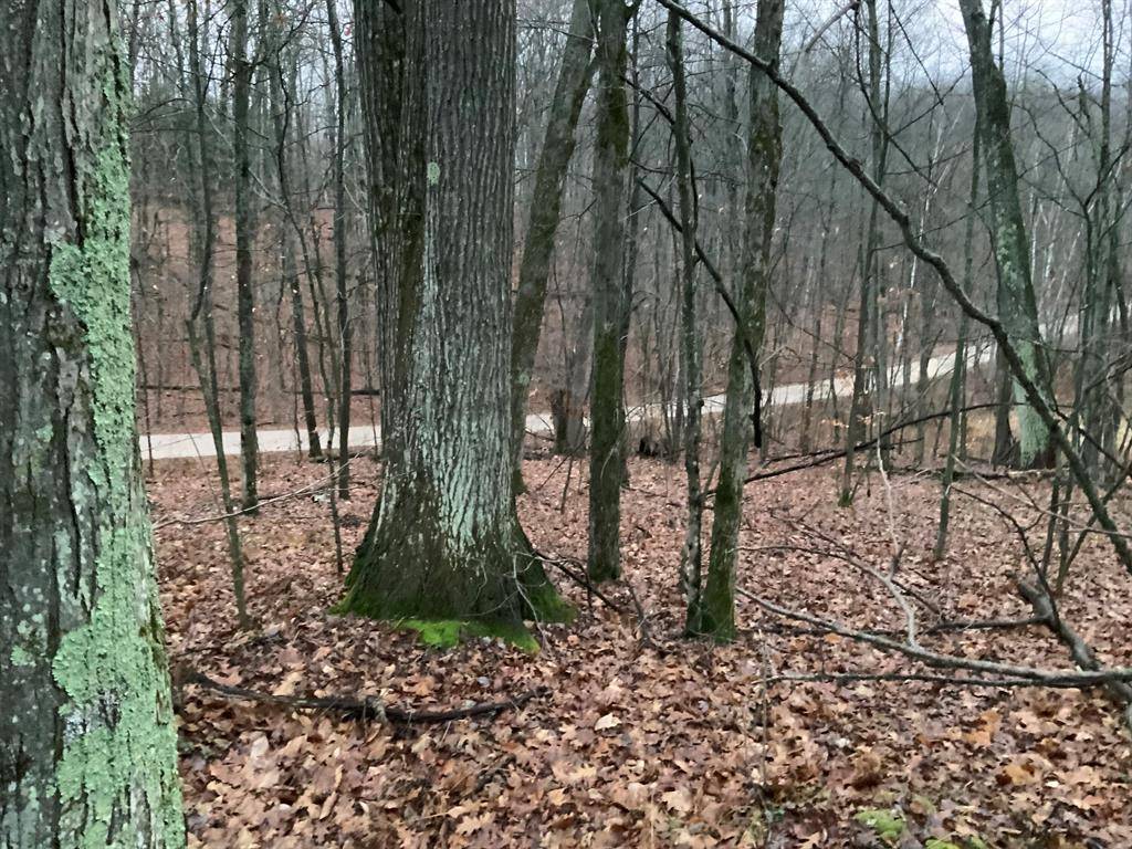 Cedar Twp, MI 49677,Bern Drive Lot 31