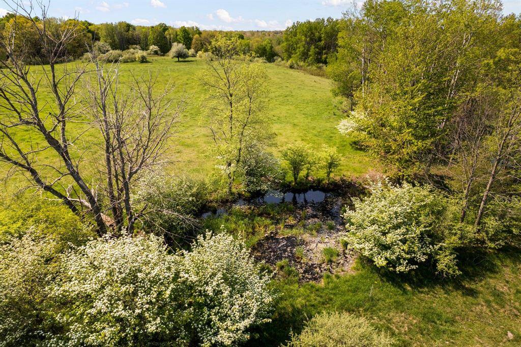 Ellsworth Twp, MI 49656,02 N State Rd