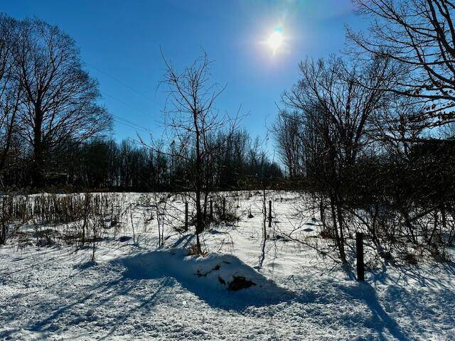 Newfield Twp, MI 49421,1837 S 200th Avenue