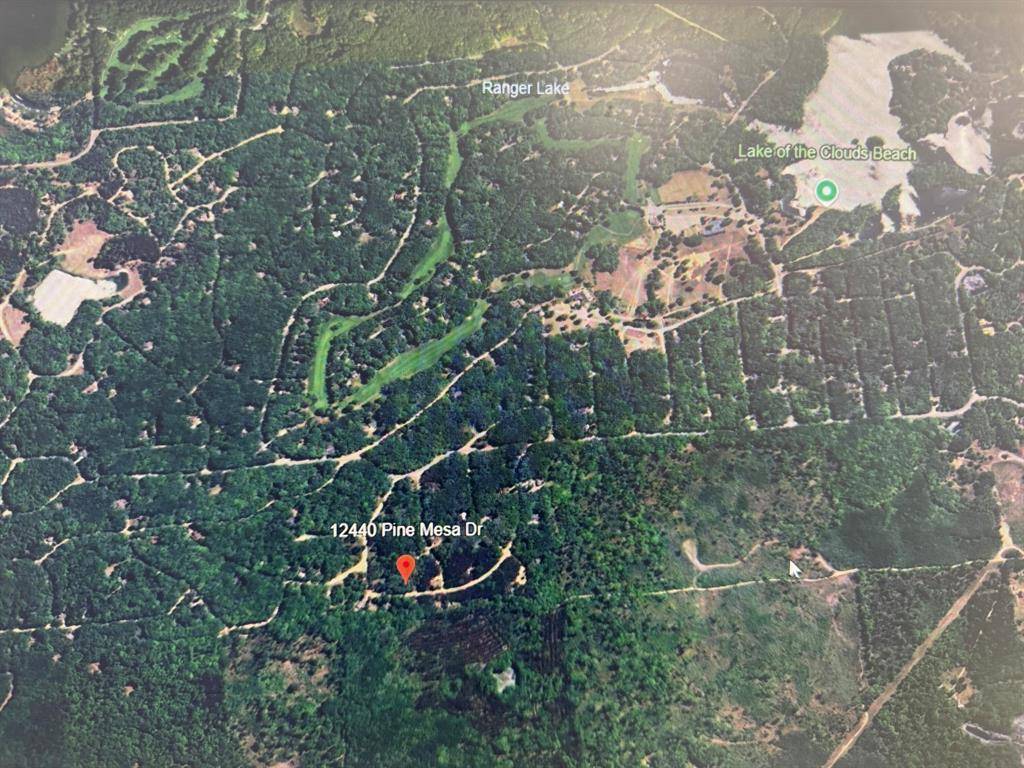 Austin Twp, MI 49346,12440 Pine Mesa Drive