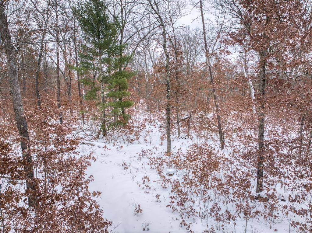 Webber Twp, MI 49304,V/L Bristol Street